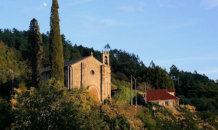 Mato do Bugalhão - Serra de Montemuro