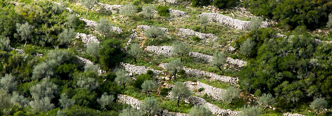 Pelos trilhos da Serra da Galega e do rio Alcaide
