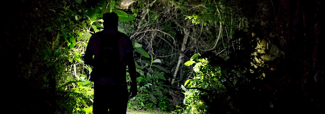 Sobrevivência noturna na Serra D'Aire