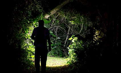 Sobrevivência noturna na Serra D'Aire