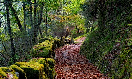 Travessia da Serra de Montemuro em Autonomia