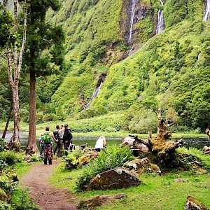 Últimas vagas para os programas de setembro Green Trekker