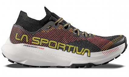 Sapatilhas de trail ou calçado de trekking: qual é a melhor escolha para caminhar?