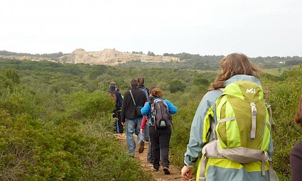 Pela Baixa do Risco