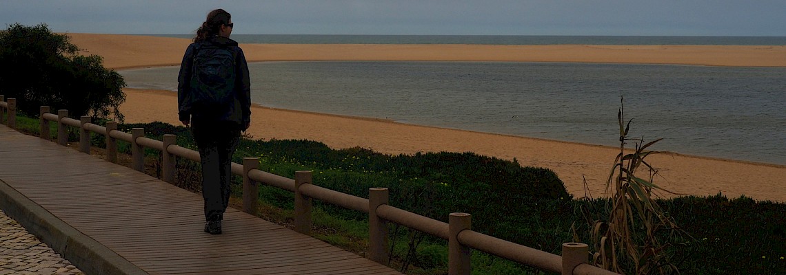 Lagoa de Albufeira - entre o verde e o azul