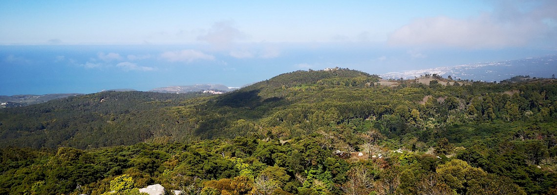 Entre a Serra e o Mar - Serra de Sintra