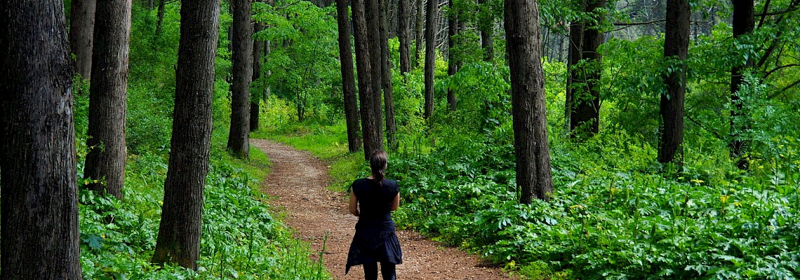 Caminhada em família - segredos da floresta do Monsanto