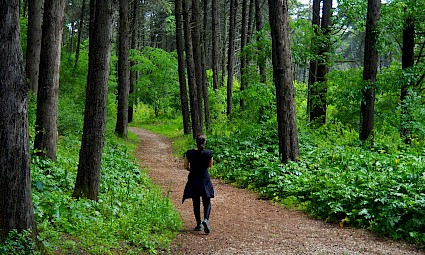 Caminhada em família - segredos da floresta do Monsanto