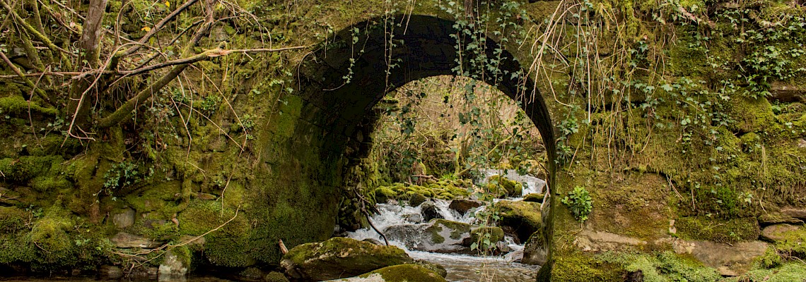 Trilho do Carteiro/Serra da Freita
