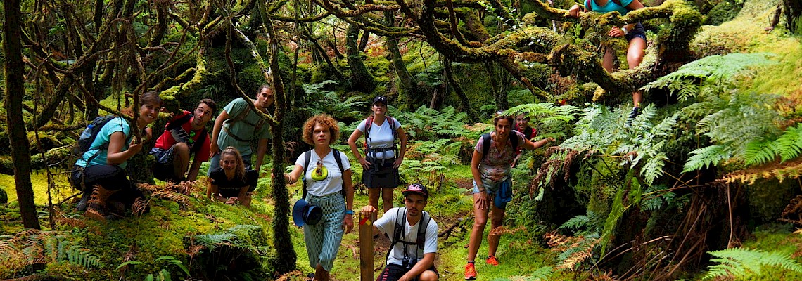 Terceira: à descoberta da Ilha Lilás