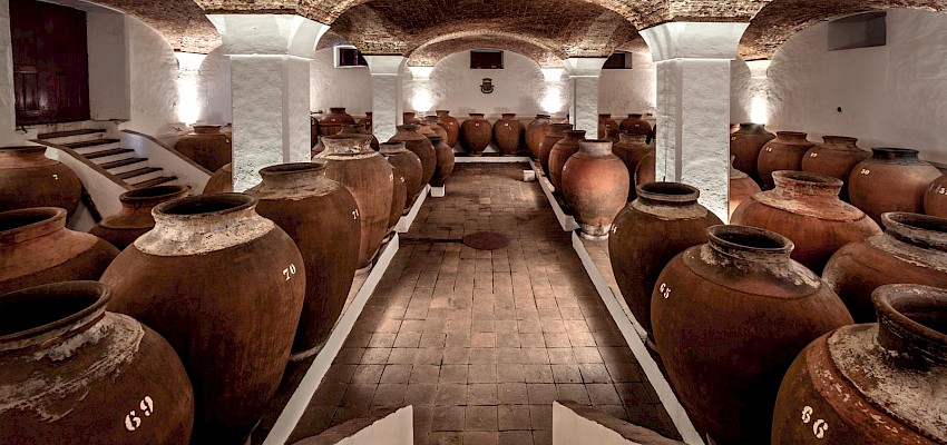 Vinho de Talha: uma tradição milenar para descobrir no Alentejo
