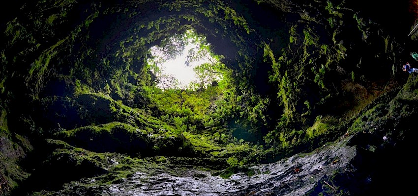 Algar do Carvão: uma viagem ao interior de um vulcão na ilha Terceira