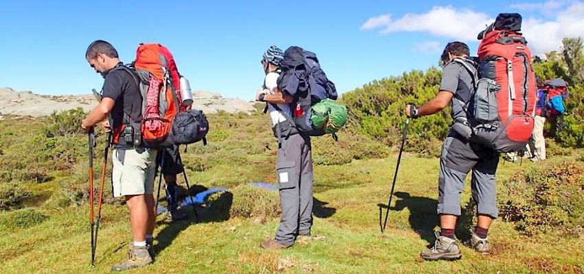 Green Trekker no Instagram!