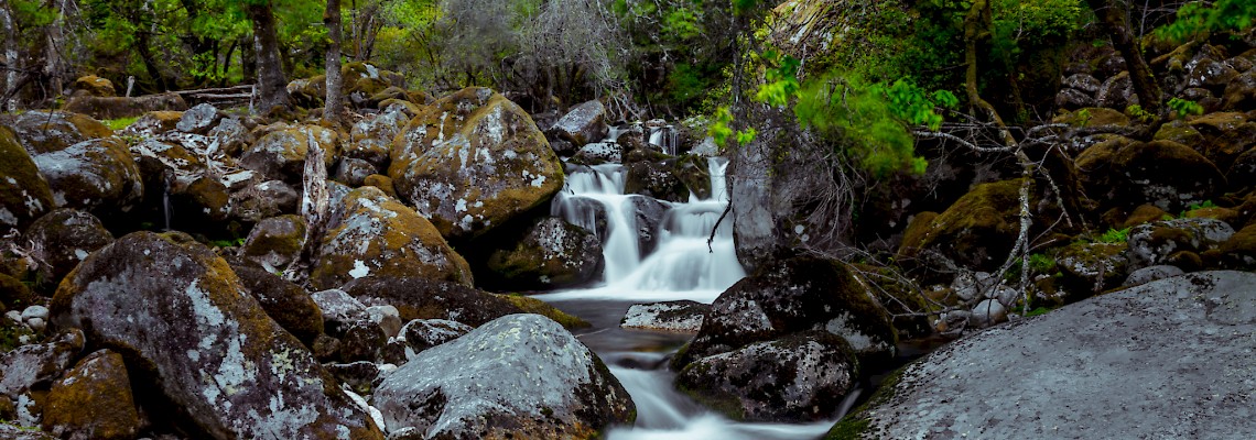 Os segredos do Rio de Montanha Froufe