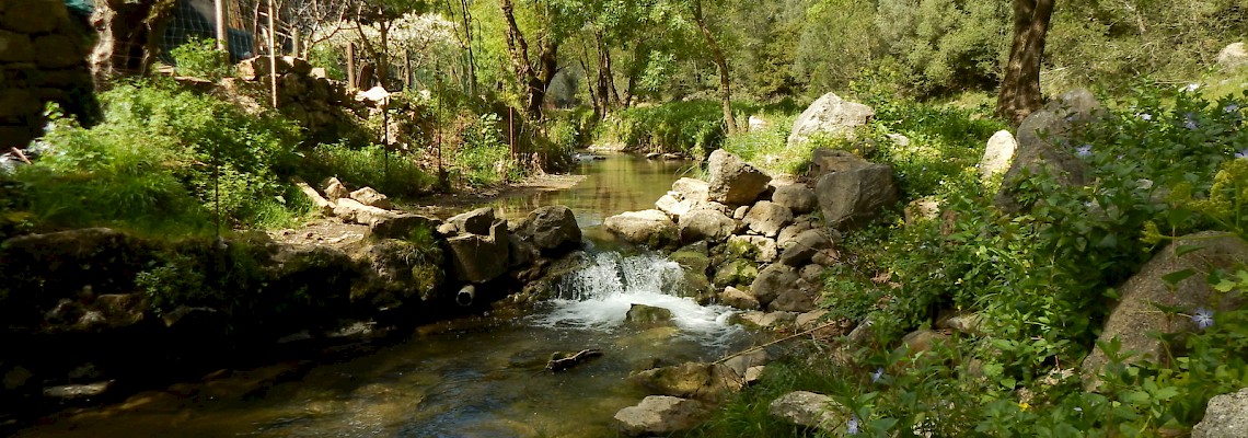 Travessia Cascais-Sintra