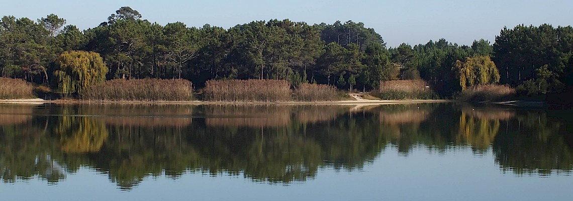 Pelos Trilhos da Lagoa de Pataias