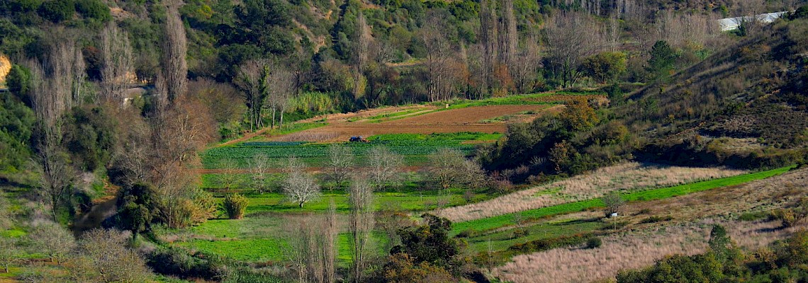 Trilhos Rurais do Vale do Arquitecto & Rio Lizandro