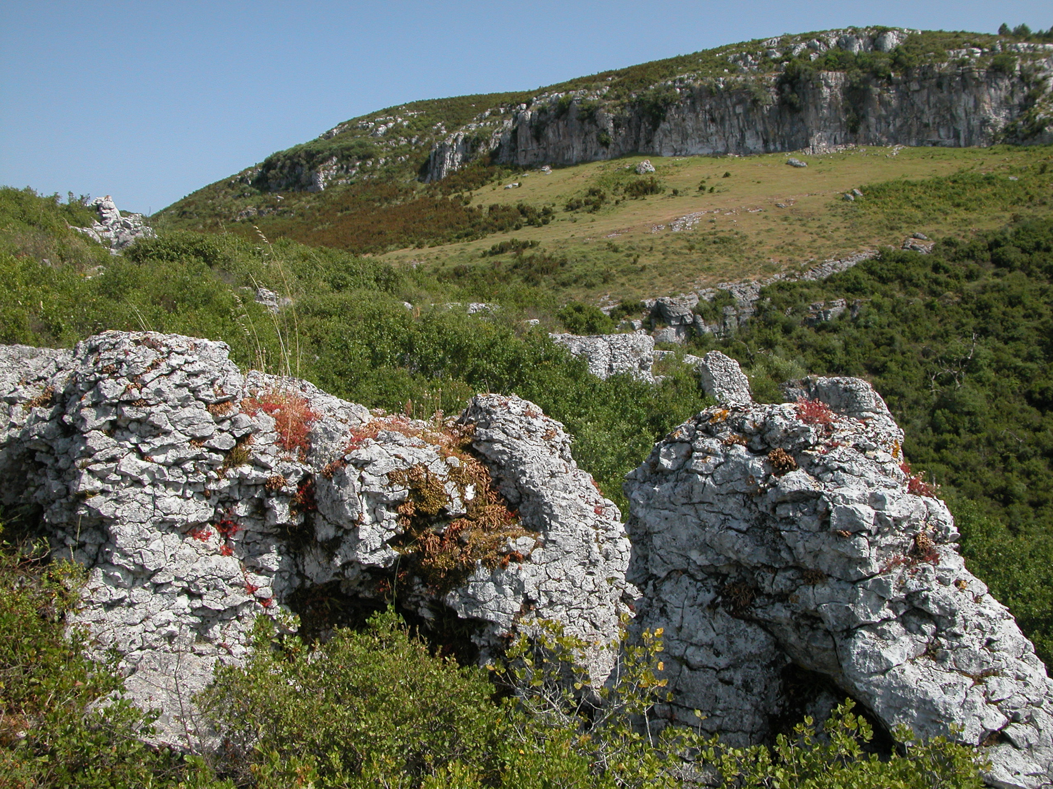  Descoberta Das Buracas De Casmilo GreenTrekker pt