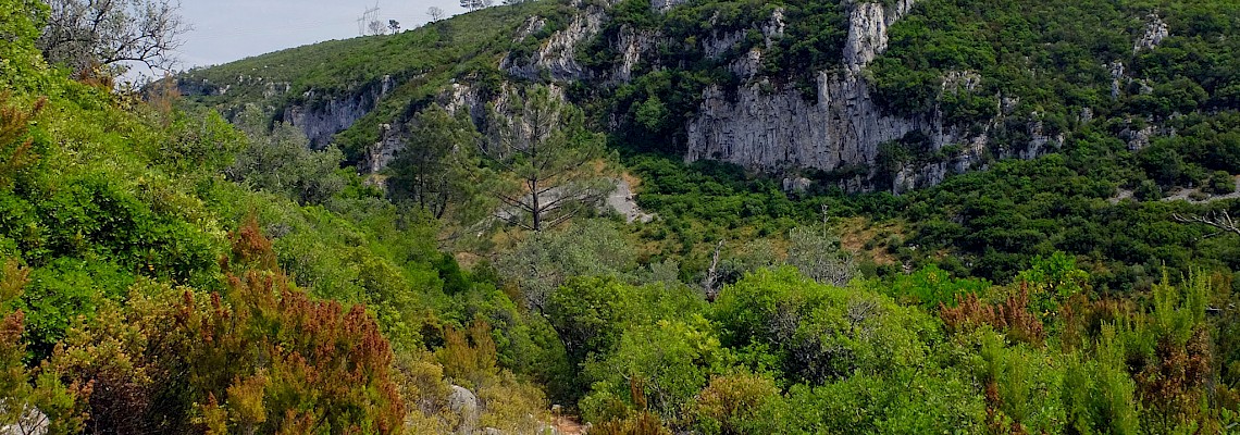 Canhão do Vale do Poio - Serra de Sicó